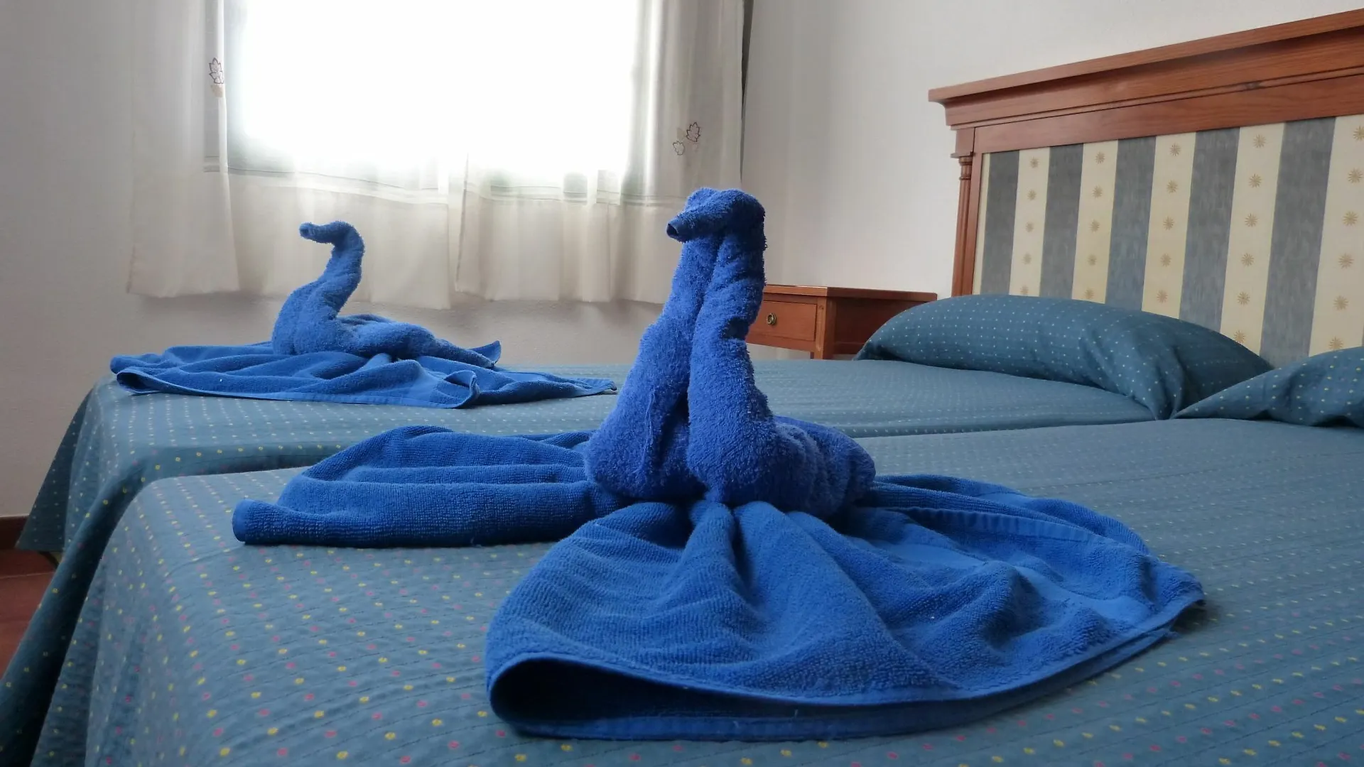 Apartamentos Self Catering Vilaflor 0*,  Ισπανία