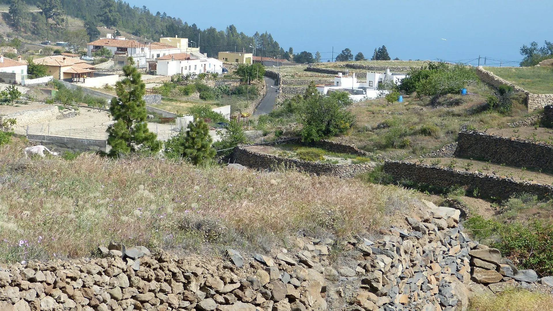 Διαμέρισμα Apartamentos Self Catering Vilaflor